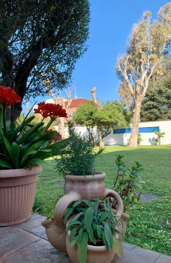 Casa Vacanze Costa Marina Фрегене Экстерьер фото